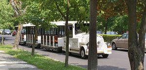 Sightseeing train: Dotto