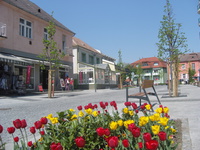 Cycling trail around HVZ No. 5